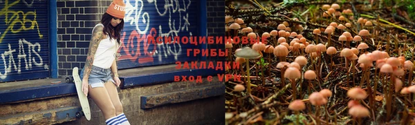 кокс Алексеевка