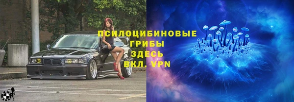 бошки Алексин