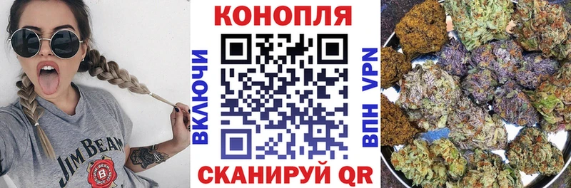 Шишки марихуана сатива  Железногорск 